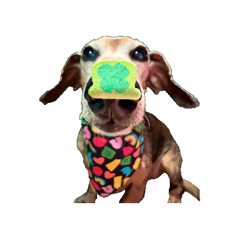 Lucky Charms Daschund Sticker by Geekster Pets