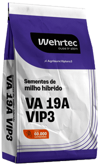 Wehrmann GIF by Inova Genética