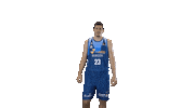 Liga Endesa Basketball Sticker by ACB