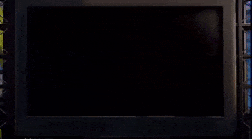 Squid Sisters Splatoon 1 GIF