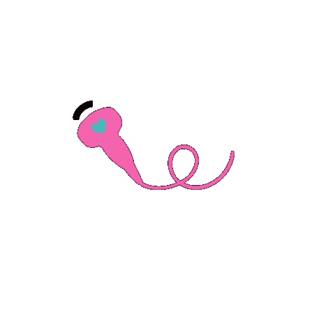 sonographerdesign giphyupload ultrasound probe sonography Sticker