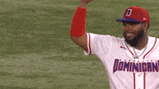Blue Jays Baseball GIF by Toronto Blue Jays