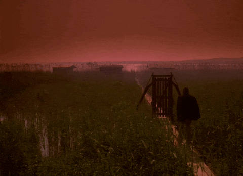 Film Lake GIF