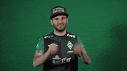 Esports Vbl GIF by SV Werder Bremen
