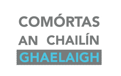 Gaa Lgfa Sticker by TG4TV