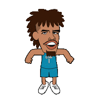 Charlotte Hornets Knockout Sticker