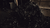 Concordia University Dance GIF
