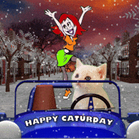 Saturday Happy Weekend GIF