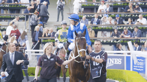 winner champion GIF by World Horse Racing