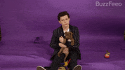 Spider-Man Marvel GIF by BuzzFeed