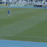 GIF by Football Australia