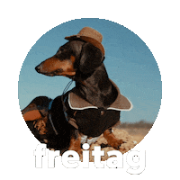 Freitag Sticker by Sealed With A GIF