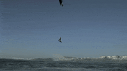 so fly flying high GIF by Red Bull