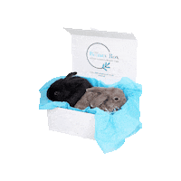 Thebeautyboxuk cruelty free beauty box cruelty free beauty the beauty box Sticker