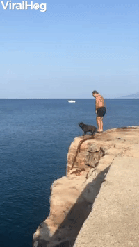 Dog Cliff Dives into Water