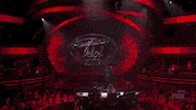 alex preston GIF by American Idol