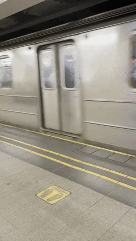 kinneykat nyc subway mta GIF