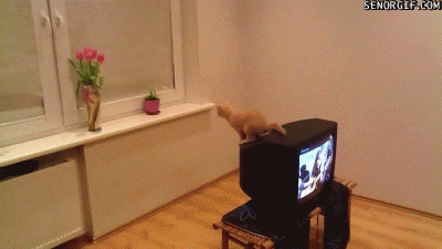 fail best of week GIF by Cheezburger