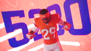 Denver Broncos Football GIF by Broncos