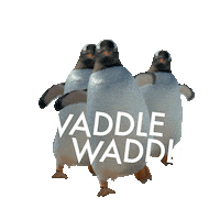 david attenborough fun Sticker by Our Planet