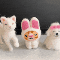 Happy Stop Motion GIF