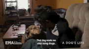 hot docs dog GIF by EMAfilms