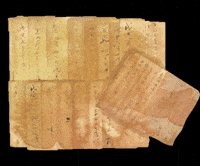 Korea Hd GIF by vank