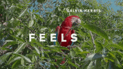 GIF by Sony Music Colombia
