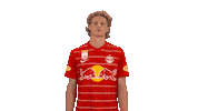 Red Bull Celebration Sticker by FC Red Bull Salzburg