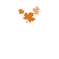 Falling Leaves Autumn Sticker