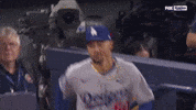 World Series Smile GIF by MLB