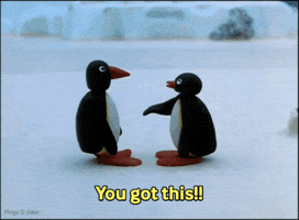 You Got This Cheers GIF by Pingu