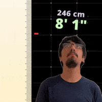 8' 1"