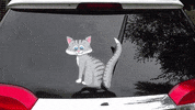 cat wagging GIF by WiperTags