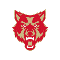 School Spin Sticker by Rome Wolves Football