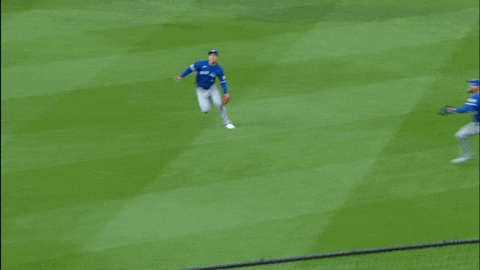 Blue Jays Baseball GIF by Toronto Blue Jays