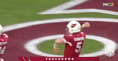 Arizona Cardinals Football GIF by NFL