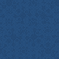 DefeatDuchenneCanada ddc duchenne cureduchenne cure duchenne GIF