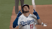 Major League Baseball Sport GIF by MLB