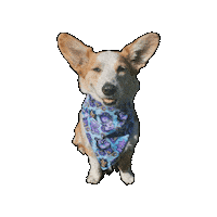 Corgi Ellie Sticker by Geekster Pets