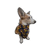 Deadpool Corgi Sticker by Geekster Pets