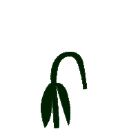 Flower Sticker