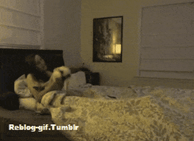 humor fail GIF