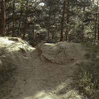 Niantic adventure explore park hiking GIF