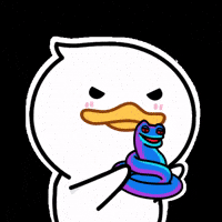 quackuio meme crypto duck quack GIF