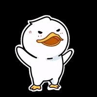 quackuio meme crypto duck quack GIF