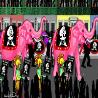 Celebrate Mardi Gras GIF by Grande Dame