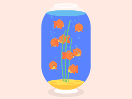 fish swimming GIF