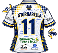 Sv Sticker by StornarellaVolley