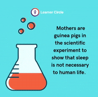 Fun Life GIF by Learner Circle